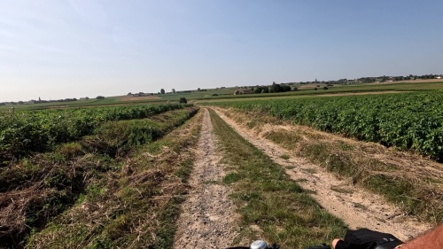 Rando-2025-08-10-17h13m15s618