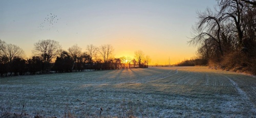 W7GQNm9RrqPFshKdnK2EVdbC_pWYD35MiMccMA8PHBE-2048x946