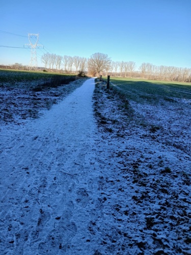 WhatsApp Image 2026-01-04 at 12.39.16 (1)