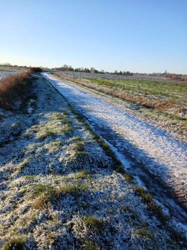 WhatsApp Image 2026-01-04 at 12.39.16