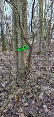 WhatsApp Image 2026-01-11 at 12.36.50 (1)