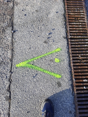 WhatsApp Image 2026-01-11 at 12.38.32