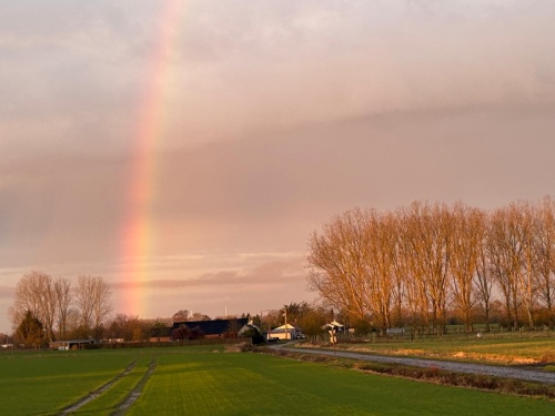 WhatsApp Image 2026-02-08 at 12.32.04